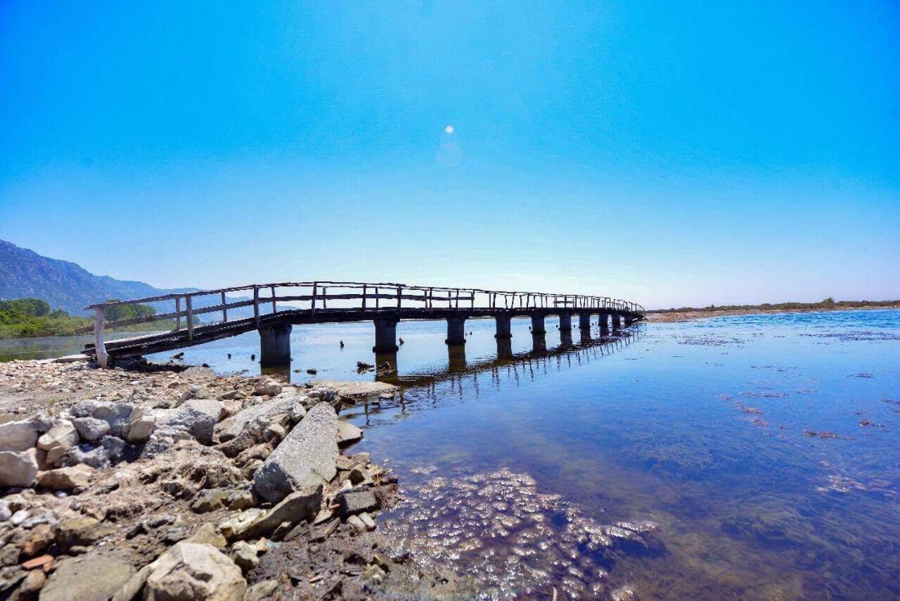 Viluni * Shkoder