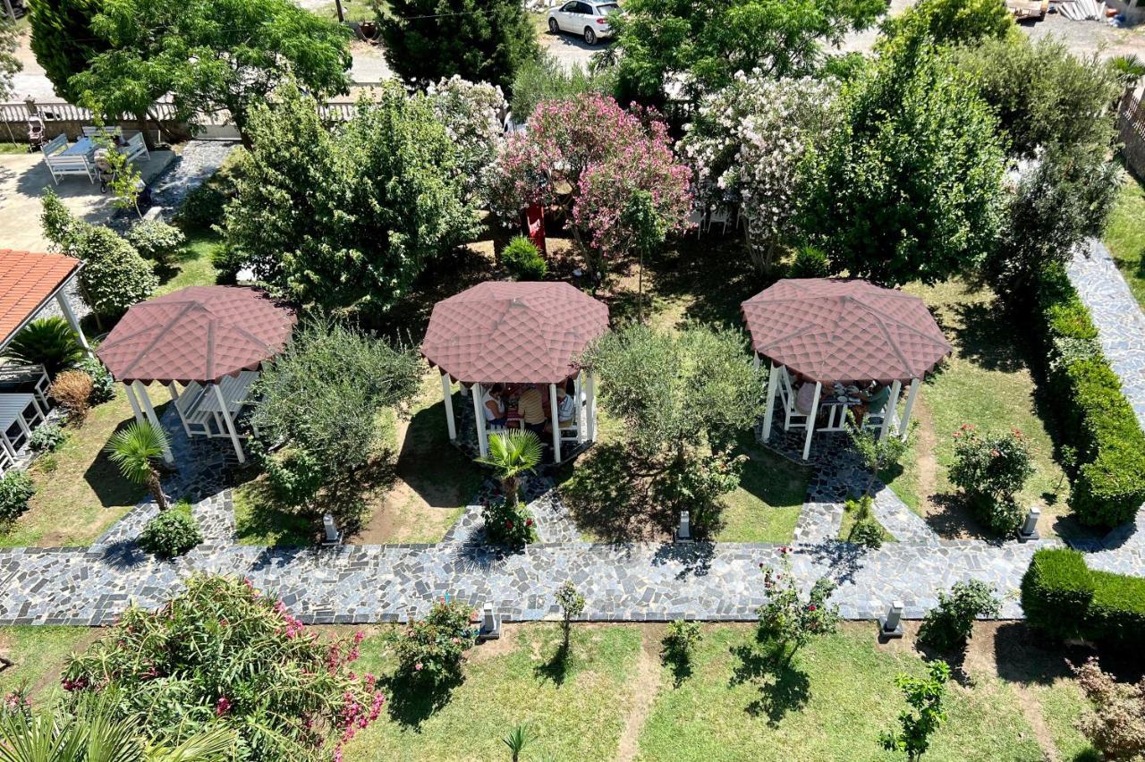 Viluni Shkoder