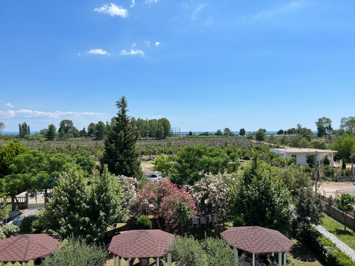 Viluni * Shkoder